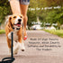 Velvet Dog Collar and Leash Set for Small Medium Large Dogs, Training & Walking Leash