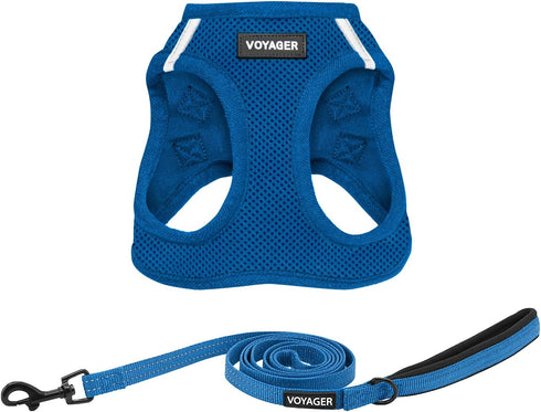 Voyager Step-in Air All Weather Mesh Harness and Reflective Dog Leash Combo 5 ft, Neoprene Handle, Royal Blue, L