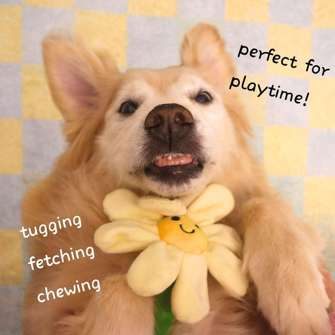 Interactive Dog Plush Toys, Crinkle Flower Rope Toy, Puppy Chew Toys for Teething, Cute Gift for Small and Medium Dogs