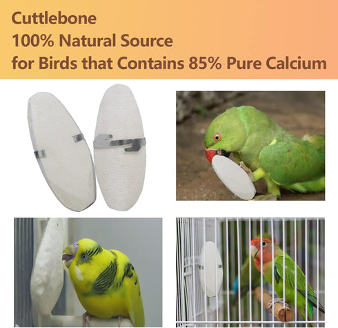 Jmxu's Cuttlebone for Birds - Natural Bird Calcium for Parakeet Cuddle Bone for Cockatiels, 4.5 to 5.5 inch