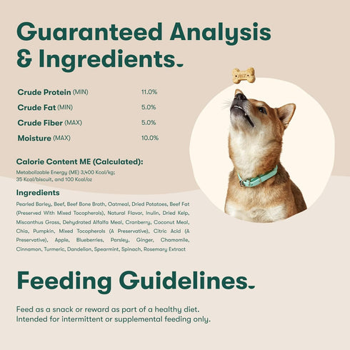 Jinx Bone Broth Biscuits - Natural Crunchy Dry Dog Treats, Made with Oven-Baked Real Beef, Pumpkin, Blueberries