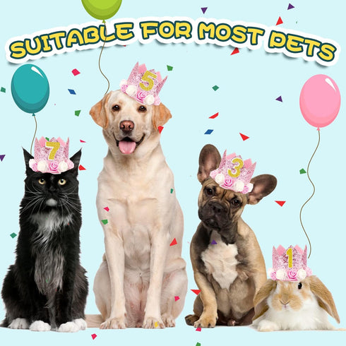 Pet Crown - Reusable Birthday Party Crown for Dog & Cat, Pink with 0-9 Figures Charms