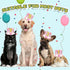 Pet Crown - Reusable Birthday Party Crown for Dog & Cat, Pink with 0-9 Figures Charms
