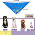 Birthday Boy Dog Bandana - Printed Pet Scarf for Dog Birthday Party Supplies and Accessories