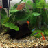 5-Hole DOITOOL Acrylic Aquarium Decor Shrimp Hideout Shelter Fish Tank Cave Breeding Box for Shrimp and Small Fish