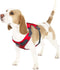 Outward Hound Boulder Adventure Adjustable Dog Harness with Pockets, Small, Red