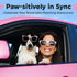 Dog Nail Polish Pens Quick Dry 15 Colors - Easy Application, Dog Safe Nail Polish for Dogs and Cats