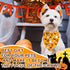 4 Pack Set Holiday Dog Bandanas, Adjustable Halloween Thanksgiving Christmas New Year Holiday Party Pet Decorations