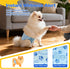 26 Count) Male Dog Diapers with Wetness Indicator, Disposable Belly Band for Puppy Male Diapers, Doggie Wraps for Puppy