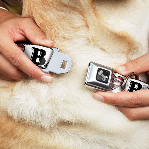 Buckle-Down Dog Collar - Bacon Bone Design