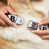 Buckle-Down Dog Collar - Bacon Bone Design