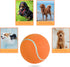 susu & wuwu Giant Tennis Ball for Dogs, Yellow Big Tennis Ball for Dog Birthday Gift, 9.5"