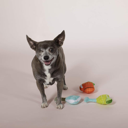 FRINGE STUDIO Pet Toy Set, Small Dog Toy Cocktails, 3 Pieces (289412)
