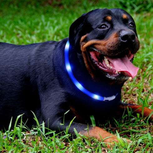 2 Pack Light Up Dog Collar for Night Walking, Rechargeable with 1640 Feet Visibility, Brightest LED Dog Collar