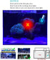 3W Submersible Aquarium Blue Light, Waterproof Lamp with Timer for Fish Tank & Sump Swim Pool