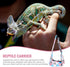 1pc Pet Backpack - Leopard Gecko Carrier Dog Backpack Travel Lizard Bag, Travel Purse Backpack for Reptiles