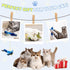 2-Pack Realistic Chirping Bird cat Toy - Soft Interactive Plush Bird Toy Infused with CatnipCat Enrichment Toys