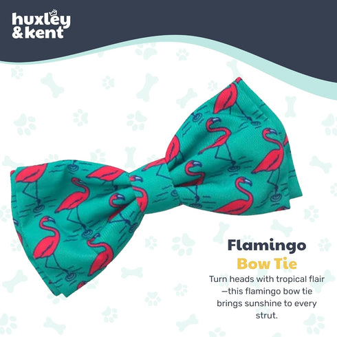 Huxley & Kent Pet Bow Tie for Dogs & Cats - Adjustable Collar Accessory for Holidays & Celebrations, Flamingo, Small