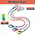 3pcs Slip Lead Dog Leash: No Pull Pet Training Leash for Medium and Small Dogs, 5ft with Two Leather Stoppers (Rainbow)