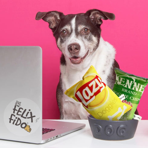 Felix & Fido Funny Dog Toys - Potato Chip Bag Plush Squeaker for Small & Medium Dogs - Spicy Bark