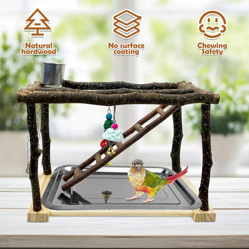 Tfwadmx Parrots Playstand Bird Play Gym Cockatiel Playground Wood Perch Stand Climb Swing Ladders Chewing Toys