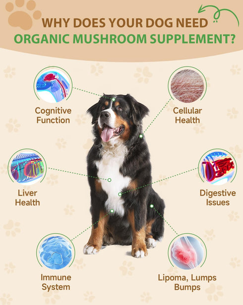 9 1 Immune in Mushroom Supplement for Dogs - Turkey Tail Mushroom for Dogs - Dog Lumps and Bumps Treatment - Digestive