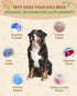 9 1 Immune in Mushroom Supplement for Dogs - Turkey Tail Mushroom for Dogs - Dog Lumps and Bumps Treatment - Digestive