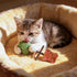 Generic 3PCS Creative Fish Bone Cat Toy,Purrident - Fix Your Cats Dental Health, Interactive Kitten Chew Toy Supports