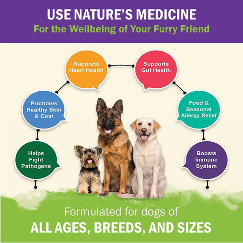 ZENAPET Allergy Immune Support Supplement for Dogs - 100% Human-Grade with Turkey Tail Mushroom, Gut Health
