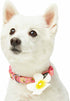 Blueberry Pet Summer Sparkle Dog Collar, Adjustable Large Size, Neck 18"-26", Tropical Flower Baby Pink Hibiscus Floral