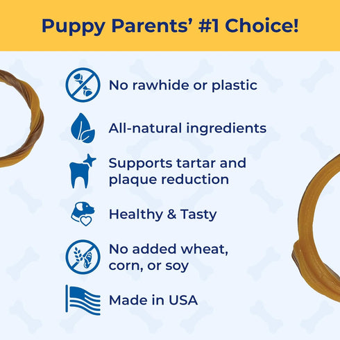 (1 Pack 6 (113048) N-Bone Puppy Teething Ring Chicken Flavor Of Rings)