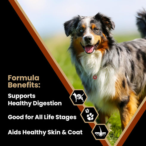 Victor Super Premium Dog Food, Chicken Meal & Brown Rice Formula, Dry Dog Food, 5 lb