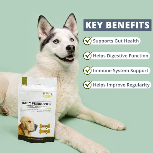 Paw Choice Probiotics for Dogs - Daily Chews for Gut Health, Digestion, and Immune Support