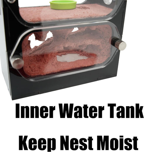 Live Ant Farm Habitat - Natural Learning Toy for Kids