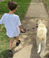 Short Dog Leash, 18 Inch Rope Traffic Leash with Padded Handle, 1/2” Strong Nylon for Medium Large Dogs - Red