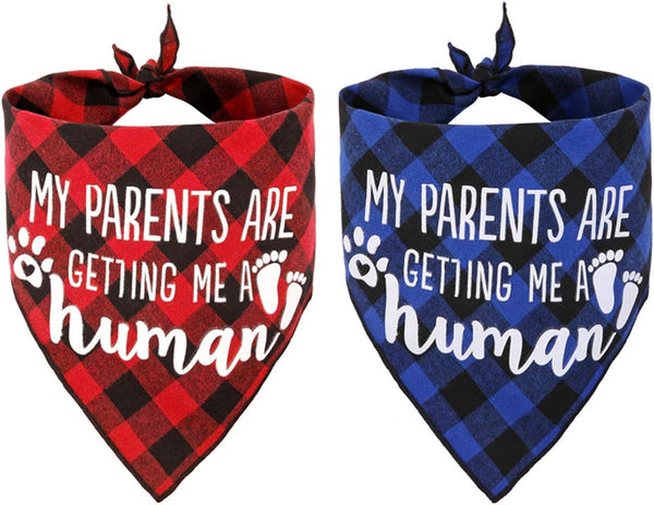 My Parents are Getting me a Human, 2 Pack Gender Reveal Dog Bandana