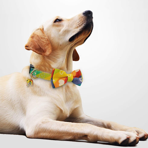 KUDES Adjustable Dog Collars with Bow Tie and Bells Charm for Small/Medium/Large Dogs and Cats (Rainbow, L(14"-22"))