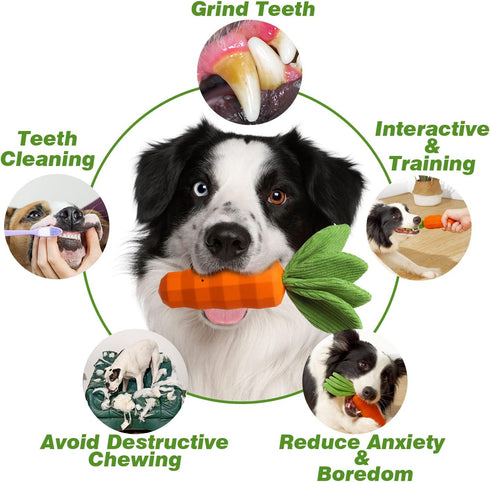 MewaJump Dog Squeaky Chew Toys for Aggressive Chewers, Rubber Carrot Dog Toys for Training, Interactive Tough Dog Toy