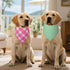 2 Pack (4 18-23" Spring Dog Bandanas Patterns) for Large X-Large Dogs - Reversible Floral Plaid Tie-On Scarves, Cherry