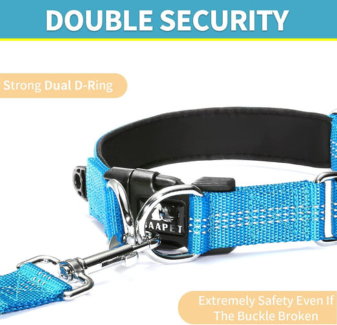 BAAPET Comfortable Dog Collar with Double Security Dual D-Ring and ID Tag Hanger for Small, Medium, Large Dogs (XS -