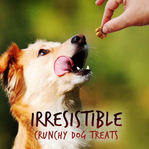 Fruitables Baked Dog Treats - Healthy Low Calorie Pumpkin Treats, Crispy Bacon and Apple, 12 Ounces (2 Pack)