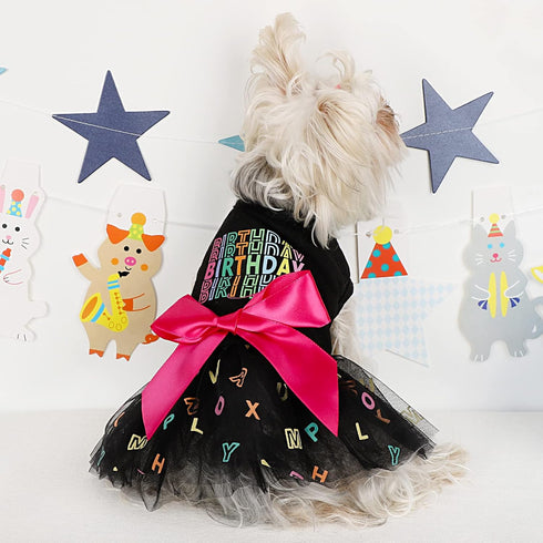 Dog Birthday Outfit for Small Dogs, Colorful Alphabet Mesh Dresses, Summer Tutu Princess Pet Clothing, XS