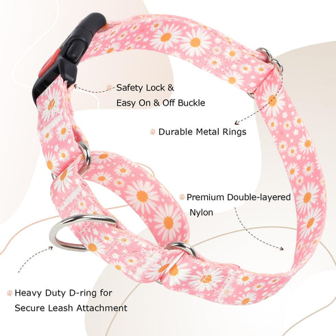 Pink Martingale Dog Collar with Daisy Flowers for Small Medium Large Dogs, Girl Dog Collars with Quick-Release Buckle