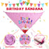 Dog Birthday Toys - Happy Birthday Gift for Dogs, Squeaky Plush Cake Hat Bandana for Small & Medium Dog Birthday Party
