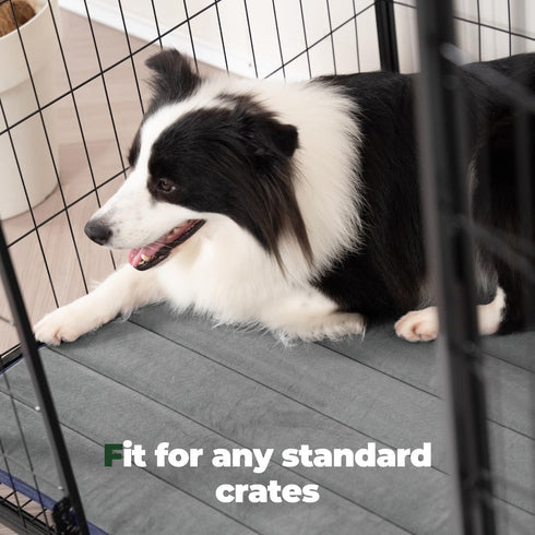 BALANCE Dog Crate Pad, Washable Water-Resistant Foam Kennel Mat for Small Dogs