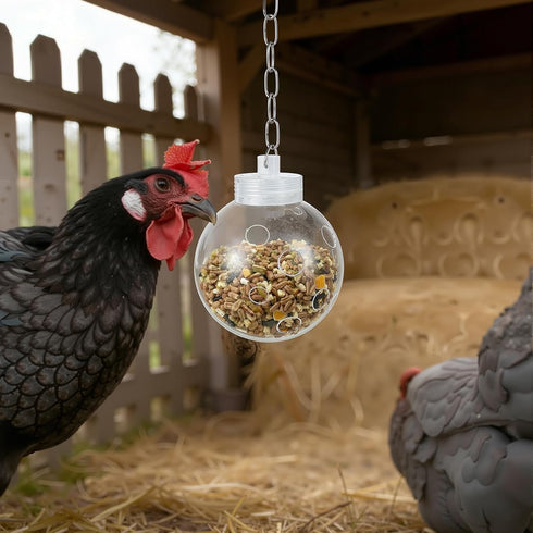 Acellegic (2 Chicken Treat Dispenser Interactive Slow Feeder Hanging Chicken Treat Ball with Chain Pecking Toys