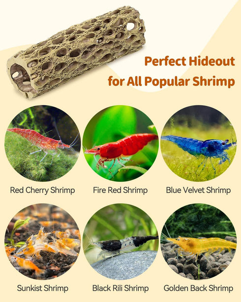 Resting,2pcs Uniclife Shrimp Hides for Aquarium, Shrimp Cave, Realistic Resin Aquarium Hollow Cholla Wood Decorations