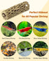 Resting,2pcs Uniclife Shrimp Hides for Aquarium, Shrimp Cave, Realistic Resin Aquarium Hollow Cholla Wood Decorations