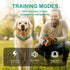 Dog Shock Collar with Touch Screen, E-Collar with Security Lock, 3 Training Modes, Waterproof for All Breeds
