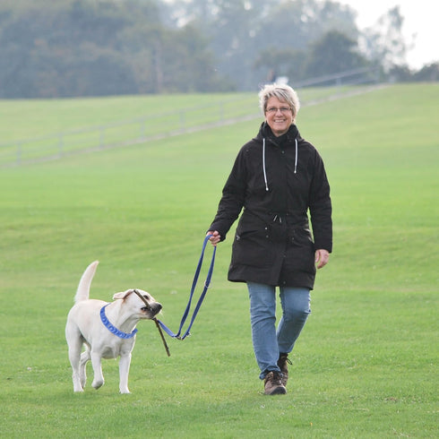 Dog Training Collar with 4 Extra Links for Medium, Large and X-Large Dogs (Blue)